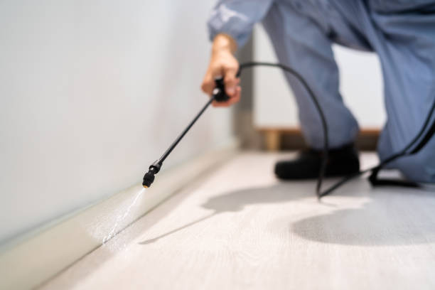 Certified termite inspector examining foundation in Mount Dora